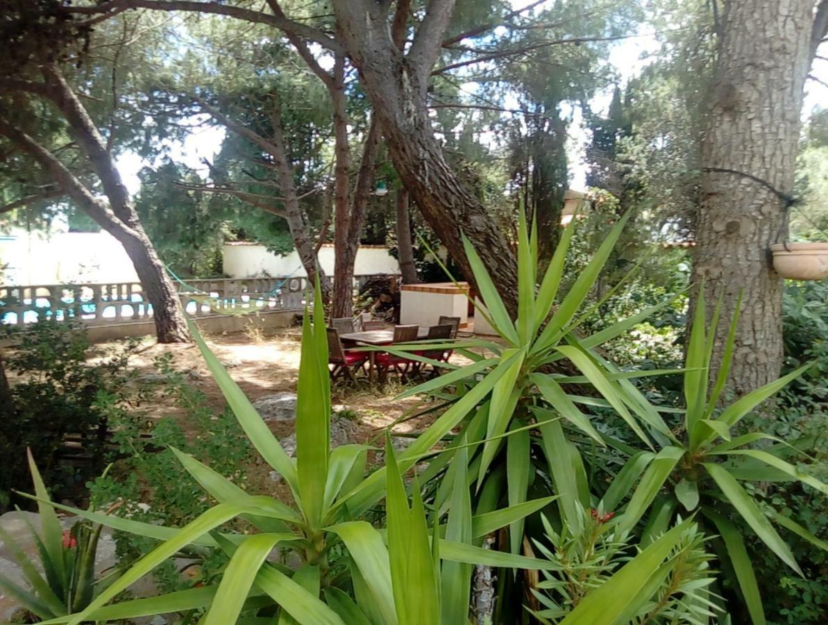 Le Paradis De Valerie Sète Dış mekan fotoğraf